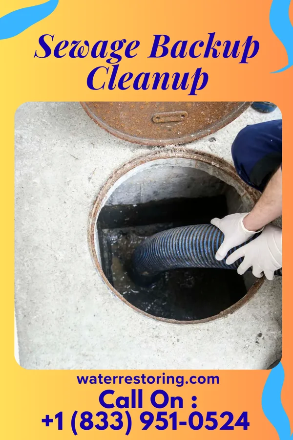 Sewage Backup Cleanup in West Des Moines, IA