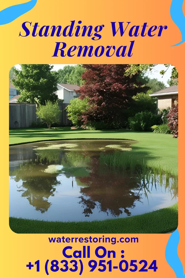 Standing Water Removal in West Des Moines, IA